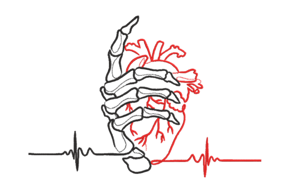 Anatomical Heart Skeleton