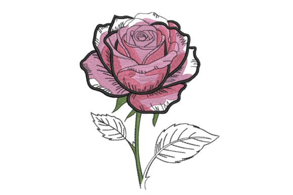 Sketched Pink Rose: A Seasonal Embroidery Gem